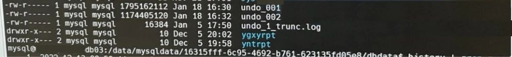 1711682793659874.jpg 4.jpg